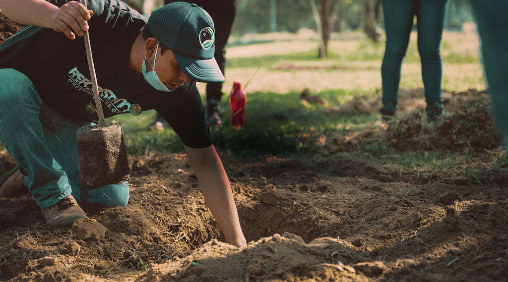 You Make a Purchase, We Plant a Tree! 🌲